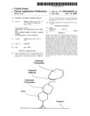 Epitope-Captured Antibody Display diagram and image