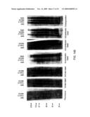 Epitope-Captured Antibody Display diagram and image