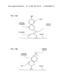 Epitope-Captured Antibody Display diagram and image