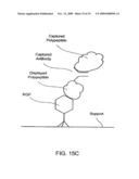 Epitope-Captured Antibody Display diagram and image