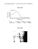 OSK1 peptide analogs and pharmaceutical compositions diagram and image