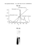 OSK1 peptide analogs and pharmaceutical compositions diagram and image