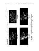 OSK1 peptide analogs and pharmaceutical compositions diagram and image