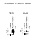 OSK1 peptide analogs and pharmaceutical compositions diagram and image