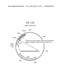 OSK1 peptide analogs and pharmaceutical compositions diagram and image