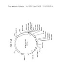 OSK1 peptide analogs and pharmaceutical compositions diagram and image