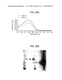 OSK1 peptide analogs and pharmaceutical compositions diagram and image