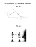 OSK1 peptide analogs and pharmaceutical compositions diagram and image