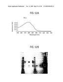 OSK1 peptide analogs and pharmaceutical compositions diagram and image