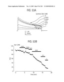 OSK1 peptide analogs and pharmaceutical compositions diagram and image