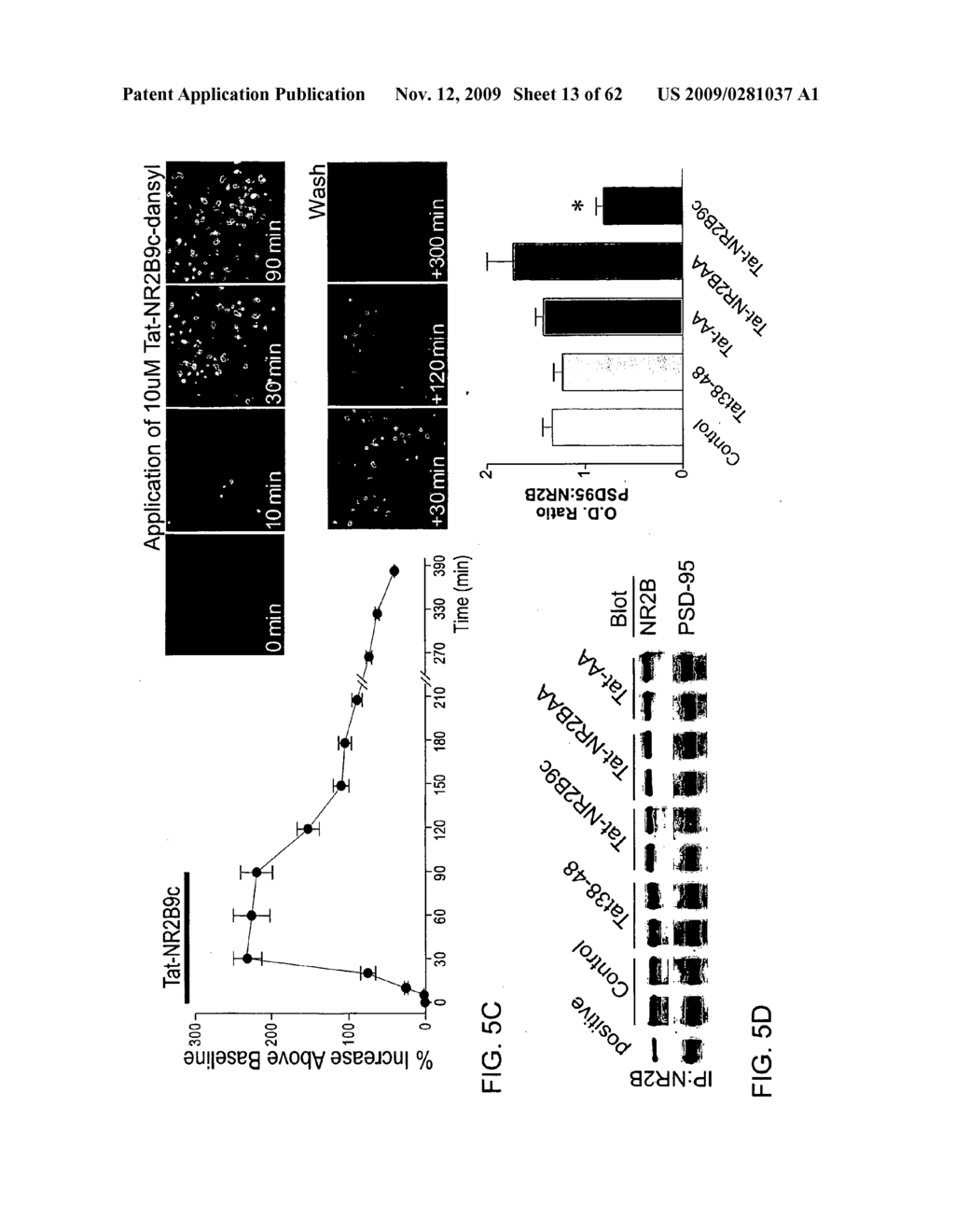 Method of Reducing Injury to Mammalian Cells - diagram, schematic, and image 14