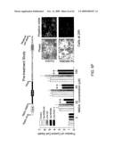 Method of Reducing Injury to Mammalian Cells diagram and image