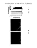 Method of Reducing Injury to Mammalian Cells diagram and image