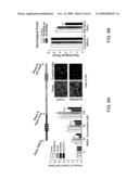 Method of Reducing Injury to Mammalian Cells diagram and image