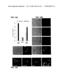 Method of Reducing Injury to Mammalian Cells diagram and image