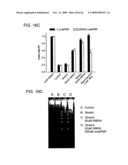 Method of Reducing Injury to Mammalian Cells diagram and image