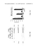 Method of Reducing Injury to Mammalian Cells diagram and image