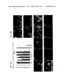 Method of Reducing Injury to Mammalian Cells diagram and image