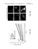 Method of Reducing Injury to Mammalian Cells diagram and image