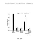 Method of Reducing Injury to Mammalian Cells diagram and image