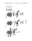 Method of Reducing Injury to Mammalian Cells diagram and image