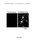 Method of Reducing Injury to Mammalian Cells diagram and image