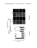 Method of Reducing Injury to Mammalian Cells diagram and image