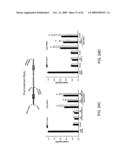 Method of Reducing Injury to Mammalian Cells diagram and image