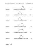 ANTIVIRAL CELL-PENETRATING PEPTIDES diagram and image