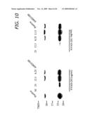 ANTIVIRAL CELL-PENETRATING PEPTIDES diagram and image