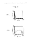 TUMOR ANTIGEN BASED ON PRODUCTS OF THE TUMOR SUPPRESSOR GENE WT1 diagram and image