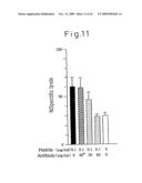 TUMOR ANTIGEN BASED ON PRODUCTS OF THE TUMOR SUPPRESSOR GENE WT1 diagram and image