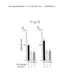 TUMOR ANTIGEN BASED ON PRODUCTS OF THE TUMOR SUPPRESSOR GENE WT1 diagram and image