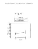 TUMOR ANTIGEN BASED ON PRODUCTS OF THE TUMOR SUPPRESSOR GENE WT1 diagram and image