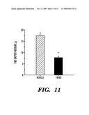 USE OF IBOGAMINE CONGENERS FOR TREATING OBESITY diagram and image