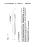 RNA INTERFERENCE MEDIATED INHIBITION OF RESPIRATORY SYNCYTIAL VIRUS (RSV) EXPRESSION USING SHORT INTERFERING NUCLEIC ACID (siNA) diagram and image