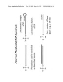 RNA INTERFERENCE MEDIATED INHIBITION OF RESPIRATORY SYNCYTIAL VIRUS (RSV) EXPRESSION USING SHORT INTERFERING NUCLEIC ACID (siNA) diagram and image