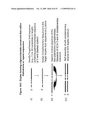 RNA INTERFERENCE MEDIATED INHIBITION OF RESPIRATORY SYNCYTIAL VIRUS (RSV) EXPRESSION USING SHORT INTERFERING NUCLEIC ACID (siNA) diagram and image