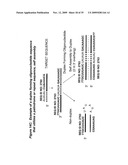 RNA INTERFERENCE MEDIATED INHIBITION OF RESPIRATORY SYNCYTIAL VIRUS (RSV) EXPRESSION USING SHORT INTERFERING NUCLEIC ACID (siNA) diagram and image