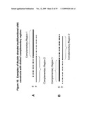 RNA INTERFERENCE MEDIATED INHIBITION OF RESPIRATORY SYNCYTIAL VIRUS (RSV) EXPRESSION USING SHORT INTERFERING NUCLEIC ACID (siNA) diagram and image