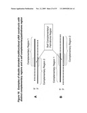 RNA INTERFERENCE MEDIATED INHIBITION OF RESPIRATORY SYNCYTIAL VIRUS (RSV) EXPRESSION USING SHORT INTERFERING NUCLEIC ACID (siNA) diagram and image