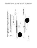 RNA INTERFERENCE MEDIATED INHIBITION OF RESPIRATORY SYNCYTIAL VIRUS (RSV) EXPRESSION USING SHORT INTERFERING NUCLEIC ACID (siNA) diagram and image