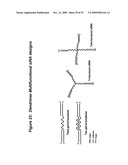 RNA INTERFERENCE MEDIATED INHIBITION OF RESPIRATORY SYNCYTIAL VIRUS (RSV) EXPRESSION USING SHORT INTERFERING NUCLEIC ACID (siNA) diagram and image