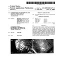 COMPOSITIONS AND METHODS RELATED TO MIRNA MODULATION OF NEOVASCULARIZATION OR ANGIOGENESIS diagram and image