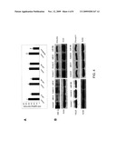 COMPOSITIONS AND METHODS RELATED TO MIRNA MODULATION OF NEOVASCULARIZATION OR ANGIOGENESIS diagram and image