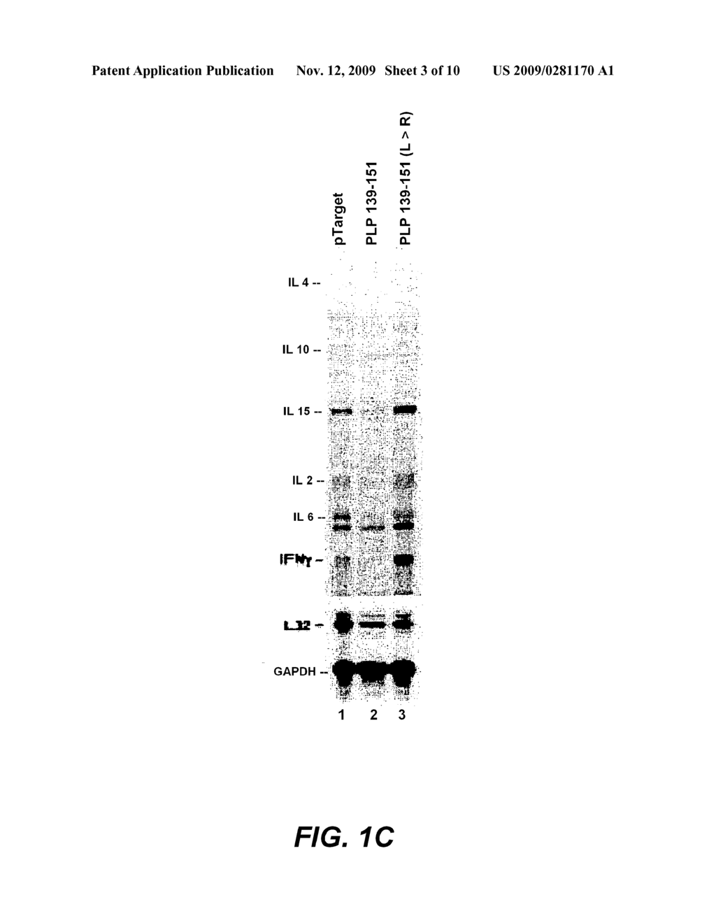 POLYNUCLEOTIDE THERAPY - diagram, schematic, and image 04