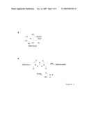 PROCESS FOR THE PRODUCTION OF CONJUGATES FROM POLYSACCHARIDES AND POLYNUCELOTIDES diagram and image