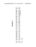 METHODS FOR THE PRODUCTION OF INSULIN IN PLANTS diagram and image