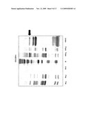 METHODS FOR THE PRODUCTION OF INSULIN IN PLANTS diagram and image