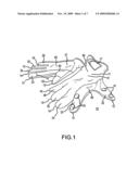 MULTI-MATERIAL GLOVE diagram and image